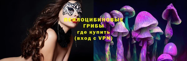 винт Лиски